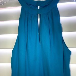 Gorgeous  Evan-Picone dress